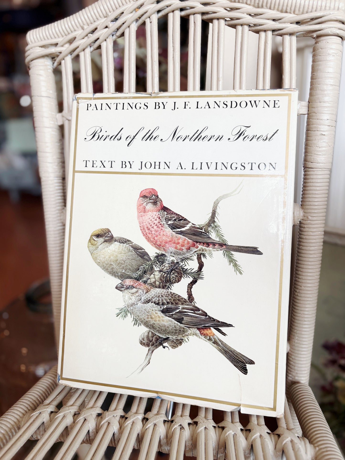 Birds of the Northern Forest Book - paintings by J.F Lansdowne