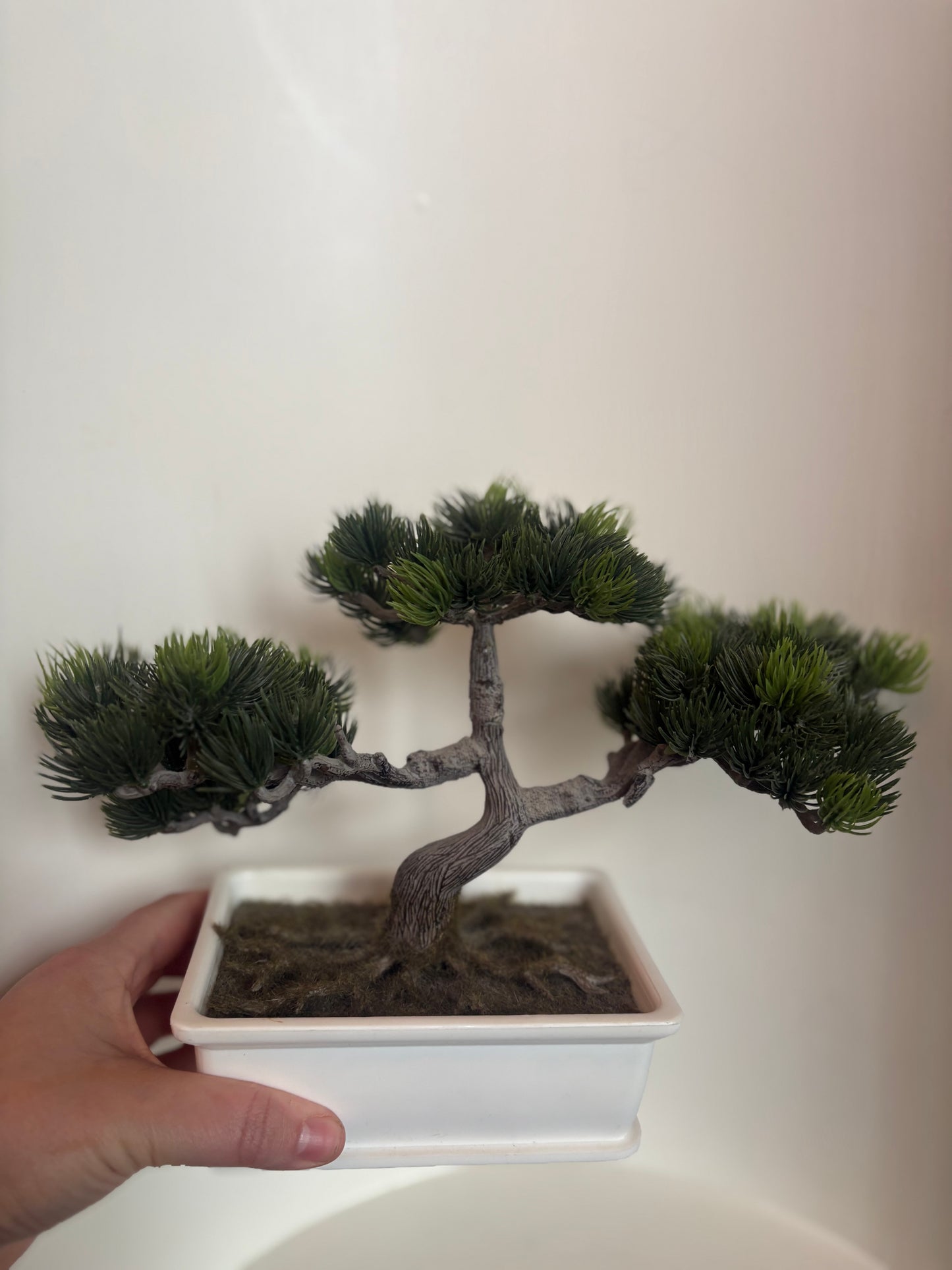 Faux Bonsai Tree in white plastic planter