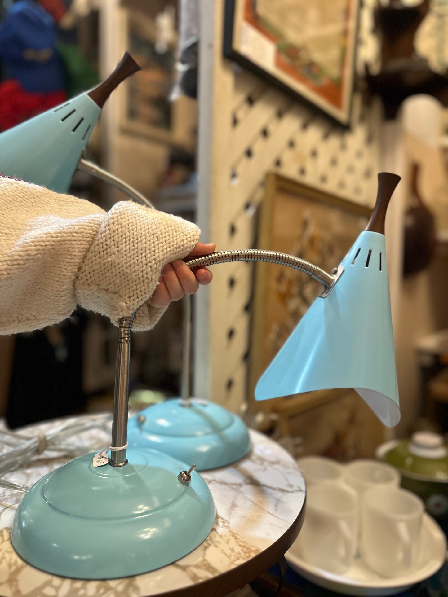 Arcadia Collection adjustable lamps (2 available)