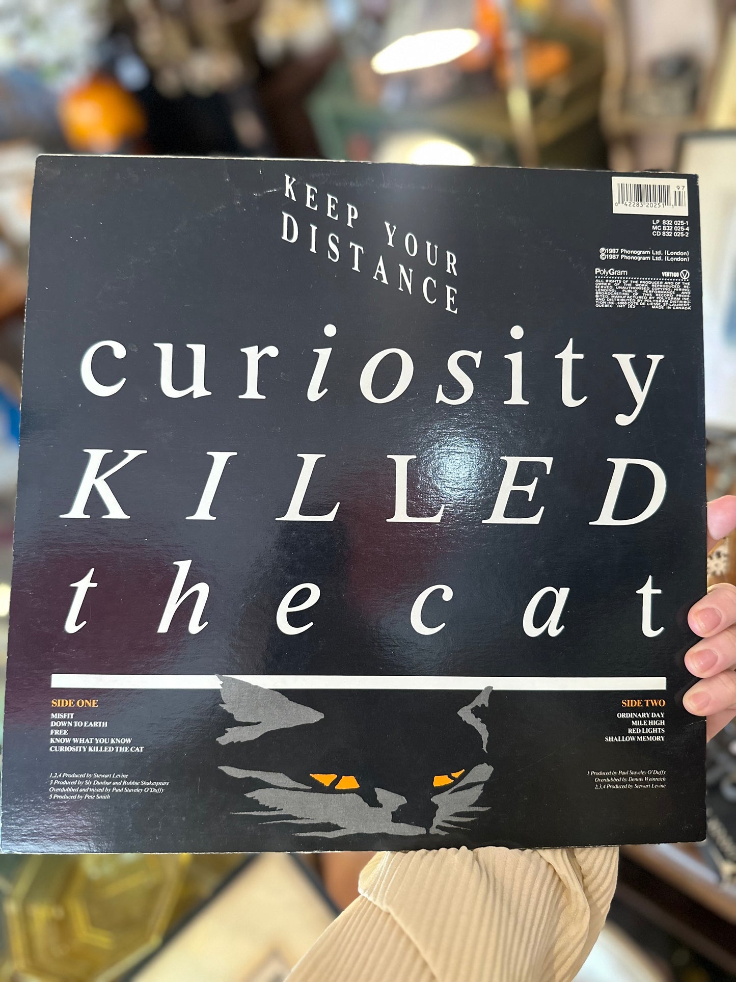 Keep your distance - Curiosity Killed the Cat Vinyl Record