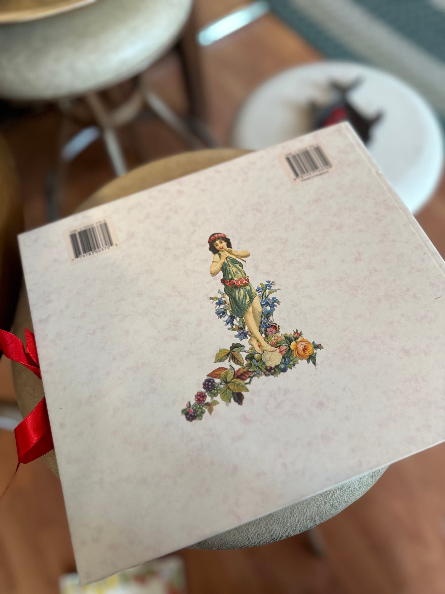 Our family Victorian photo album book