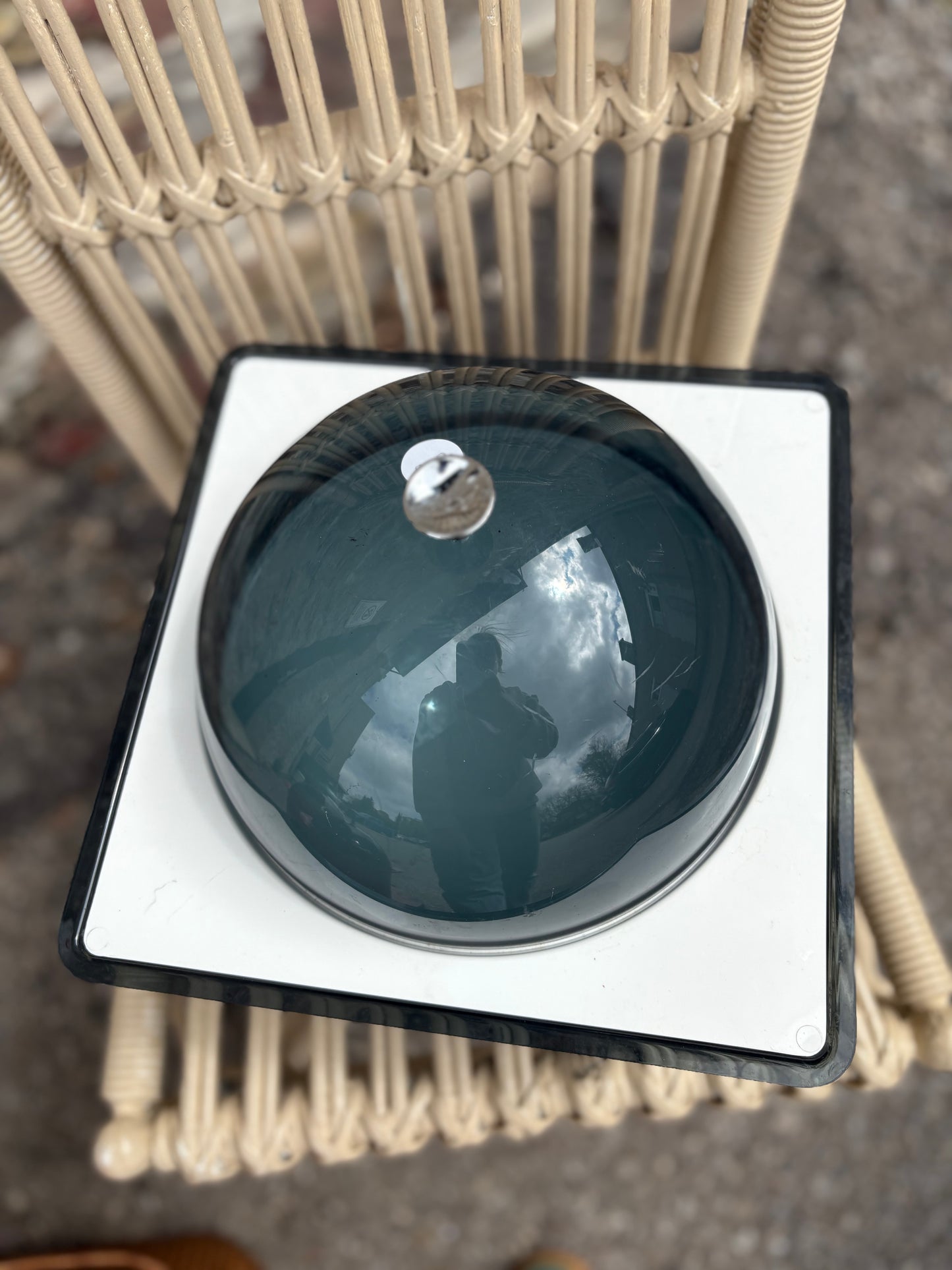 Tasty Temp Food Saver - food server