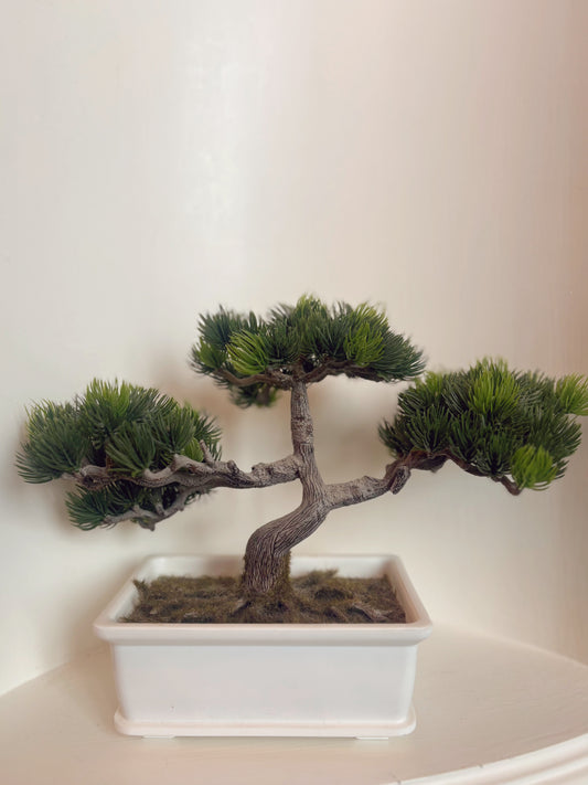 Faux Bonsai Tree in white plastic planter