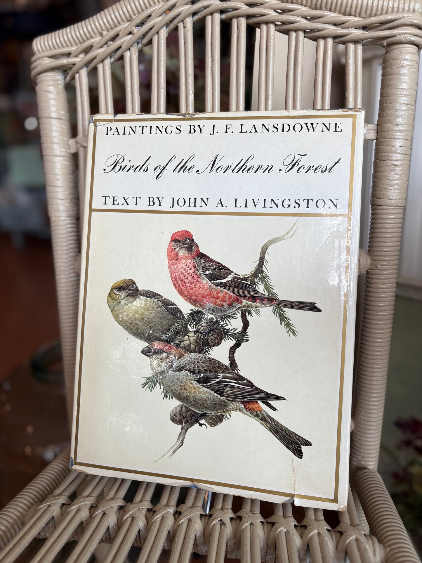 Birds of the Northern Forest Book - paintings by J.F Lansdowne