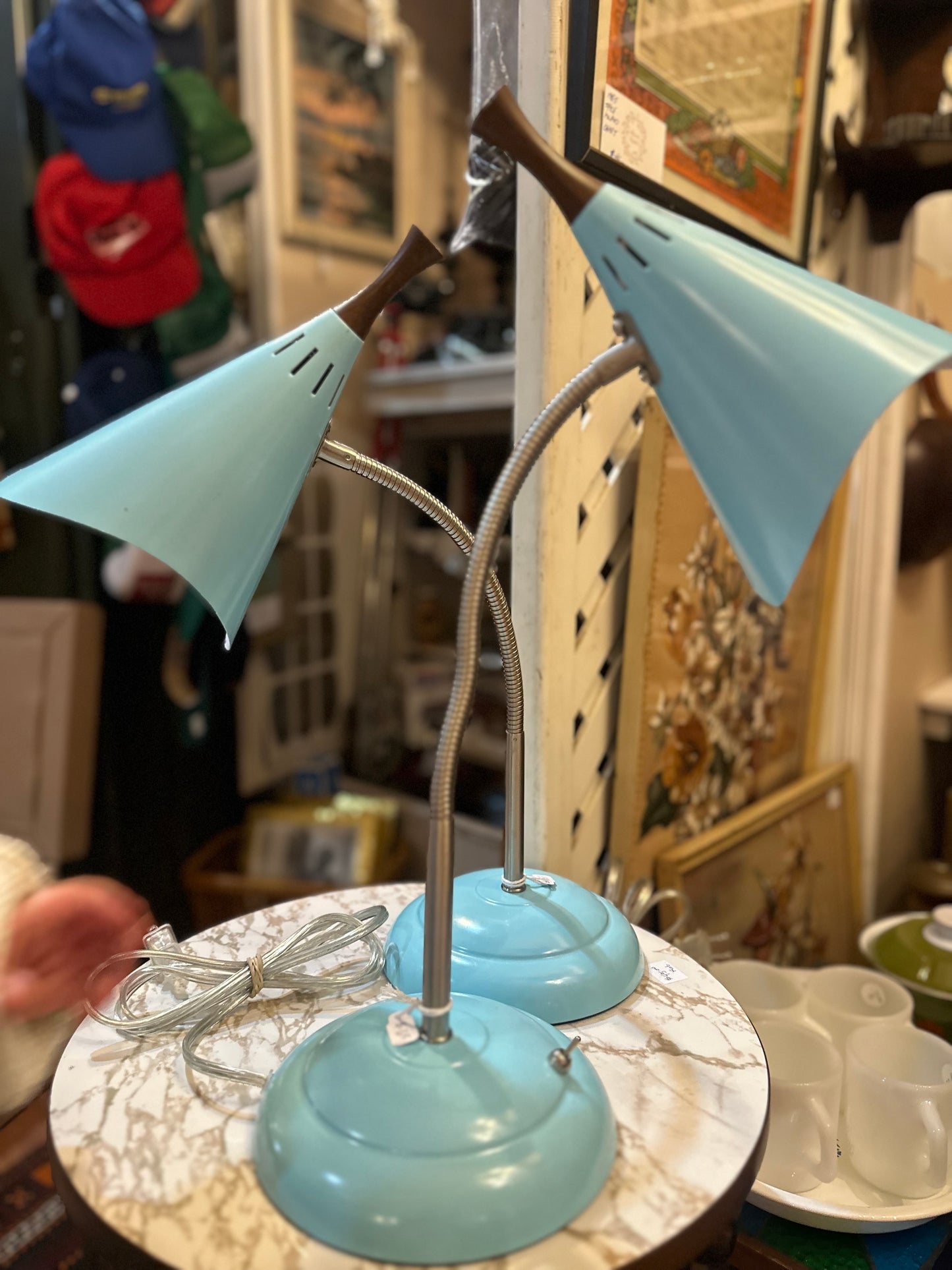 Arcadia Collection adjustable lamps (2 available)