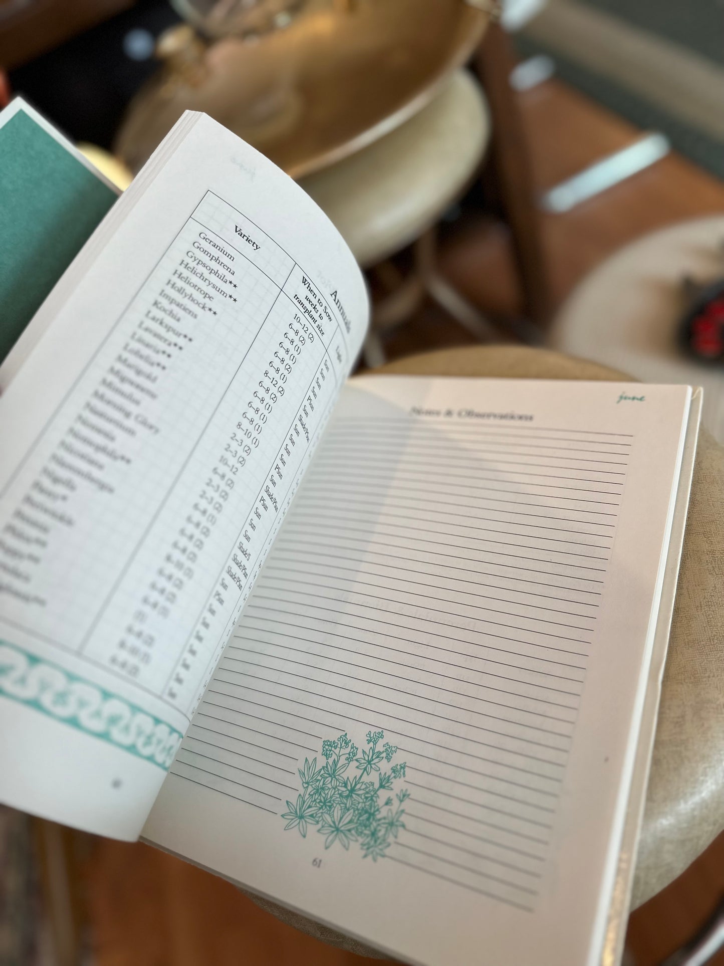 Garden Diary book (mapping out & garden planning) - never used
