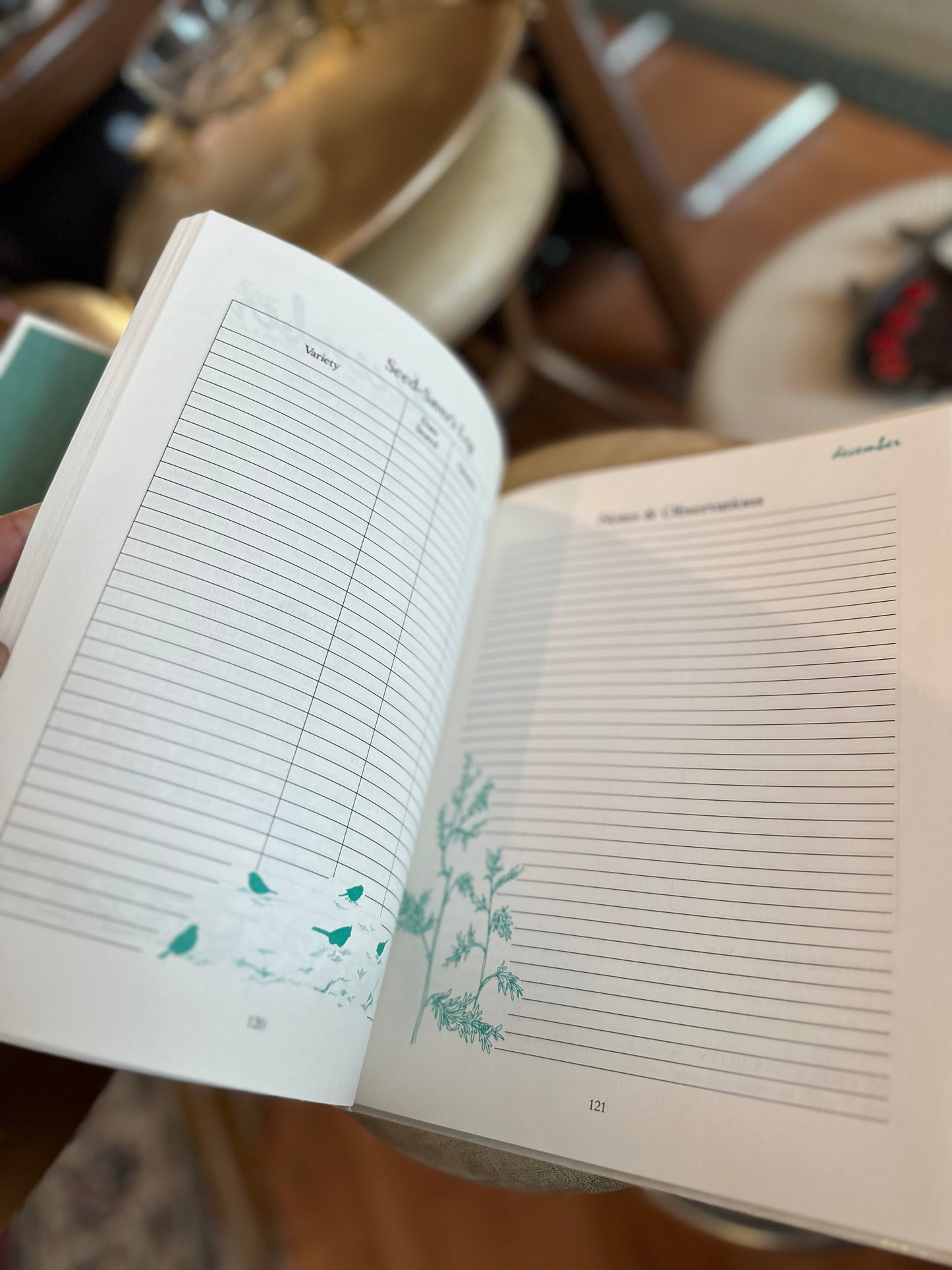 Garden Diary book (mapping out & garden planning) - never used