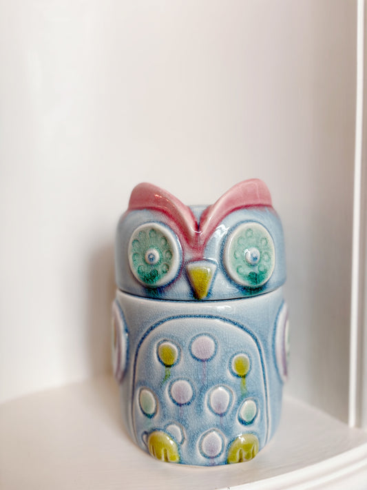 Owl Pottery Cookie Jar