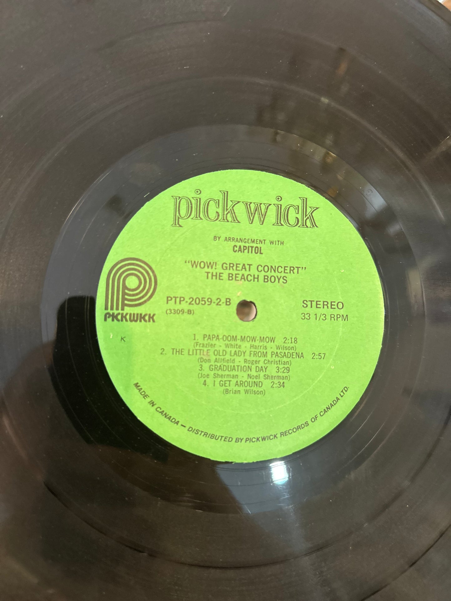 The Beach Boys High Water ( 2 record set)