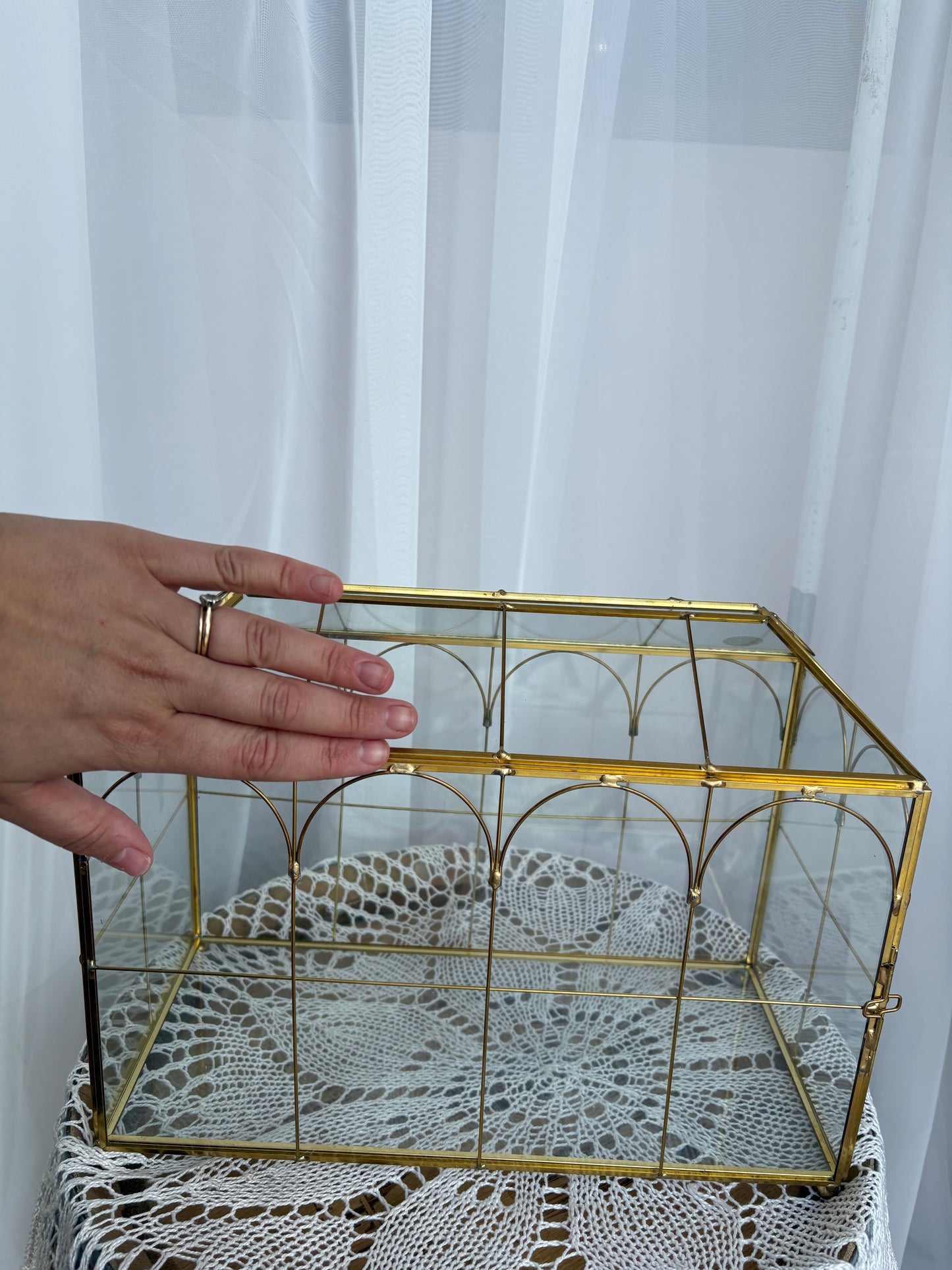 Glass terrarium/ card box