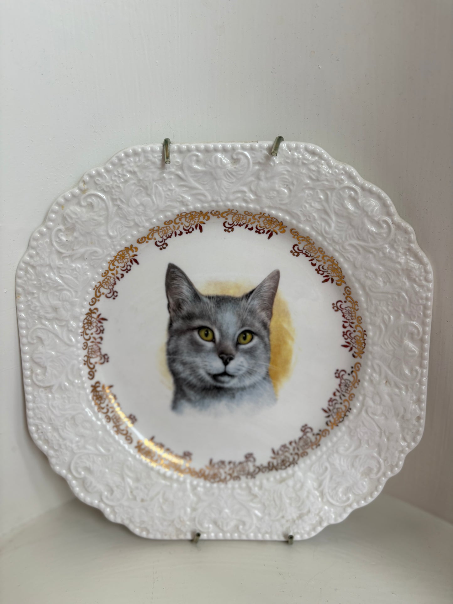 Cat Plate 1-74 Lord Nelson Pottery England