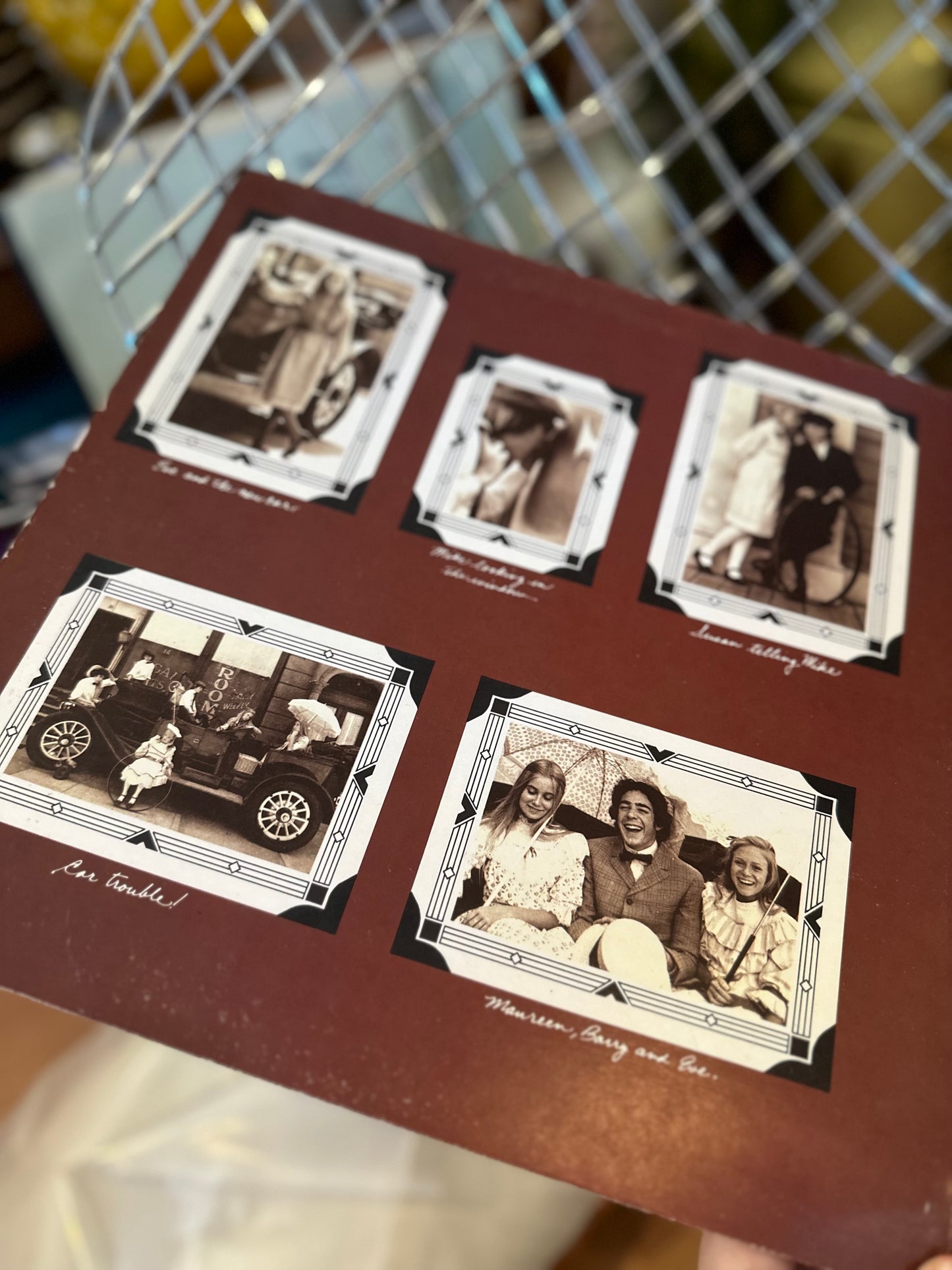 The Brady Bunch - Phonographic Album Vinyl