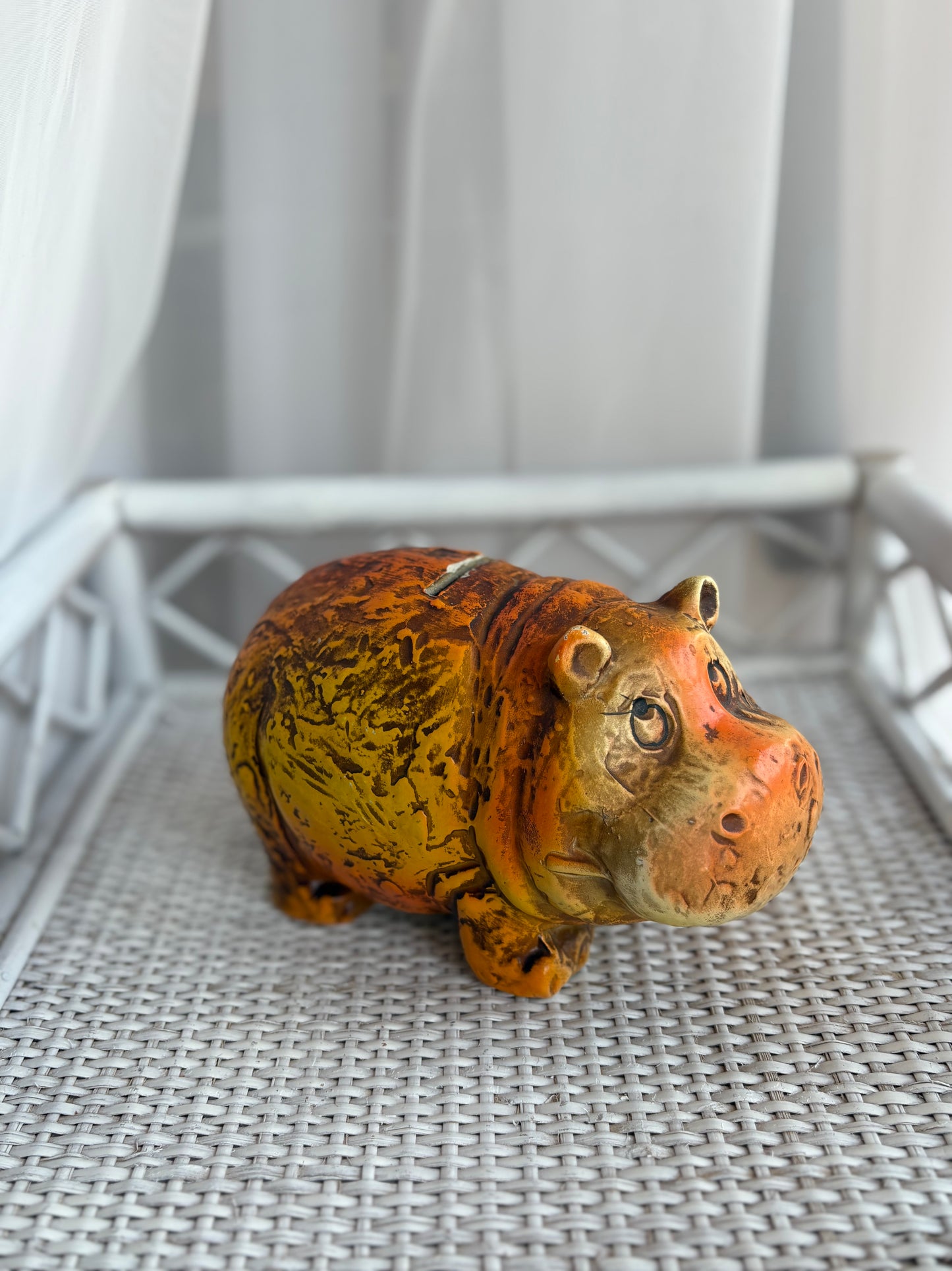 Hippo Coin Bank