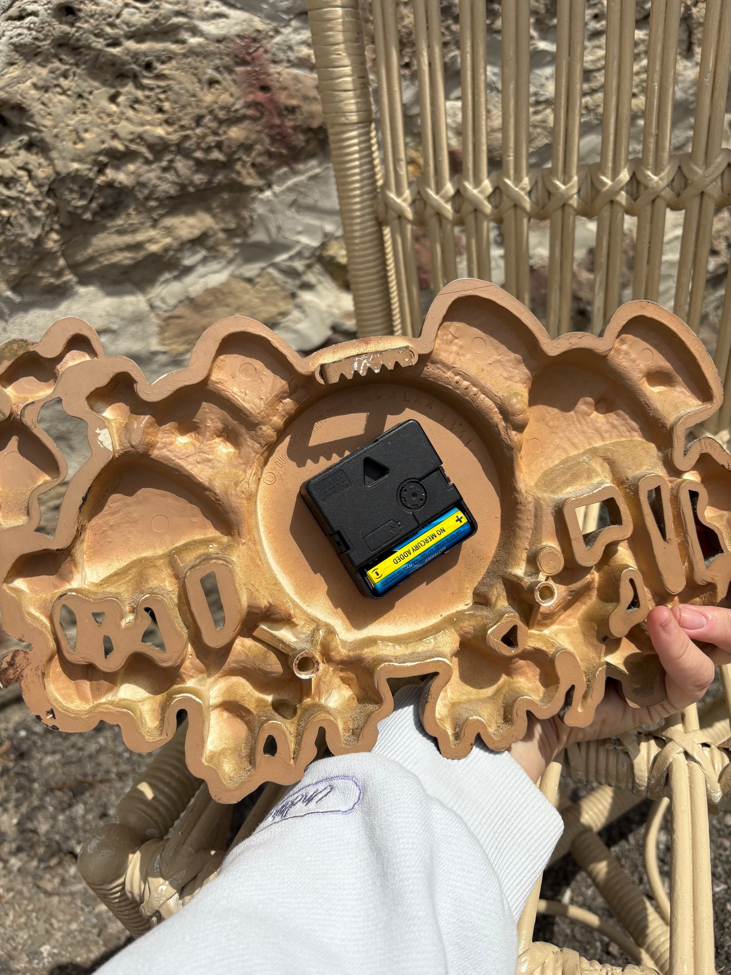 New Haven Mushroom and ladybug clock (working)
