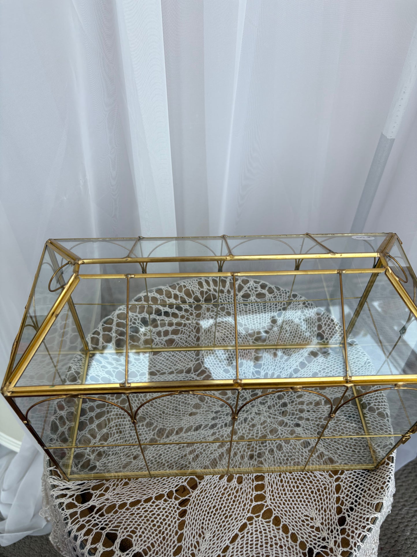 Glass terrarium/ card box
