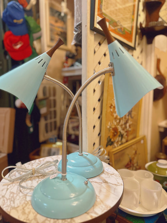 Arcadia Collection adjustable lamps (2 available)