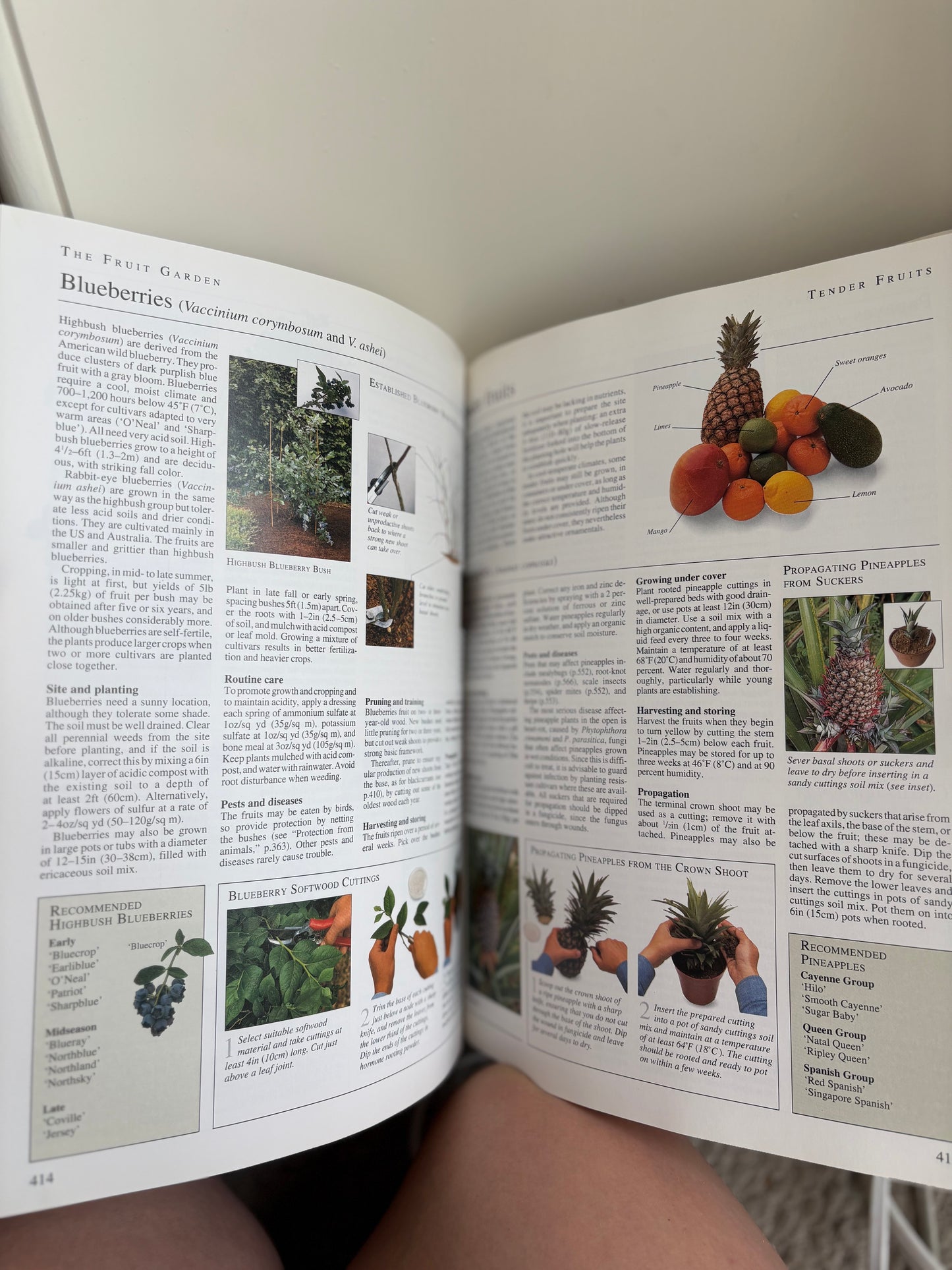 Practical Guide to Gardening in Canada Book