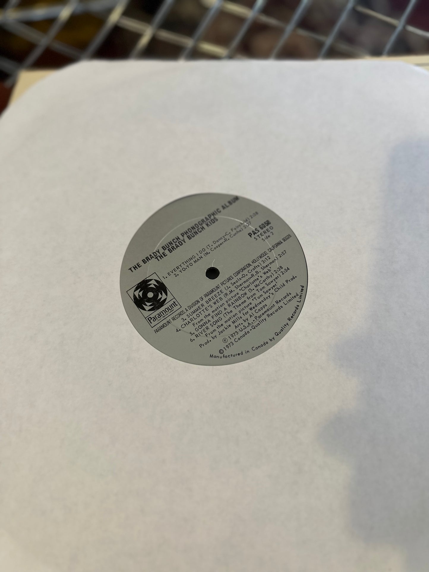 The Brady Bunch - Phonographic Album Vinyl