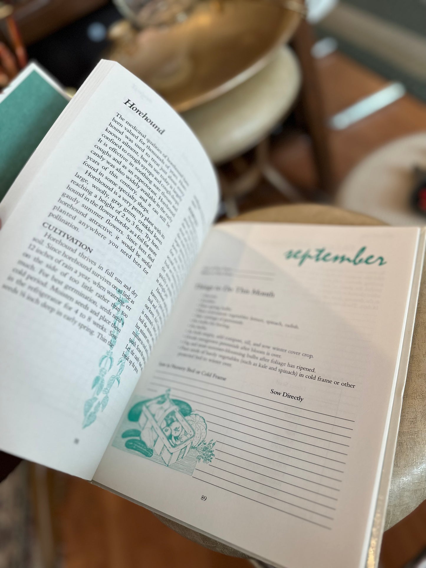 Garden Diary book (mapping out & garden planning) - never used