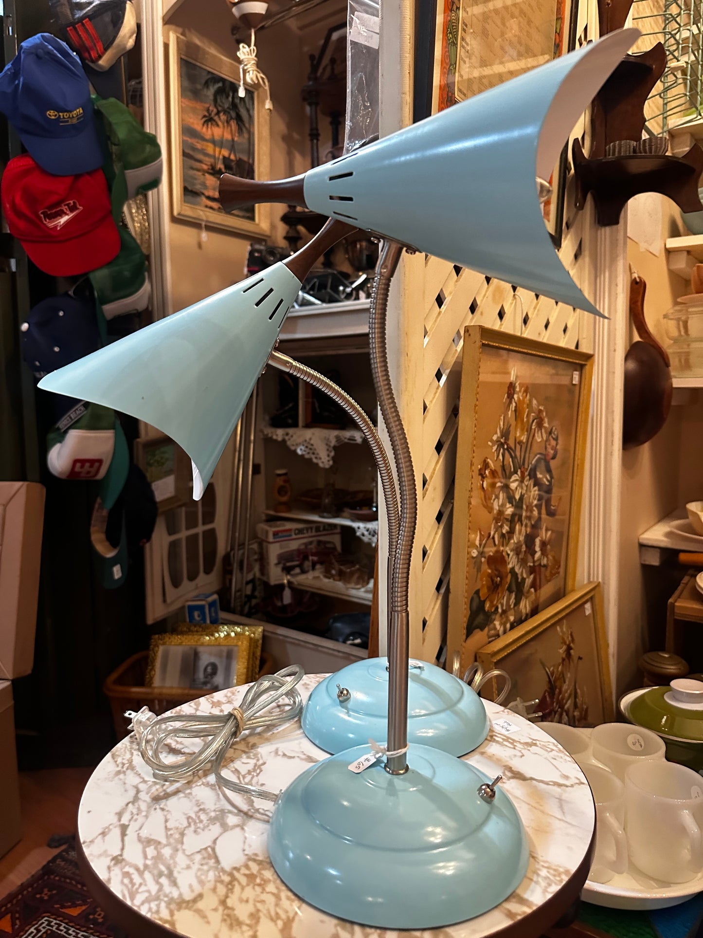 Arcadia Collection adjustable lamps (2 available)