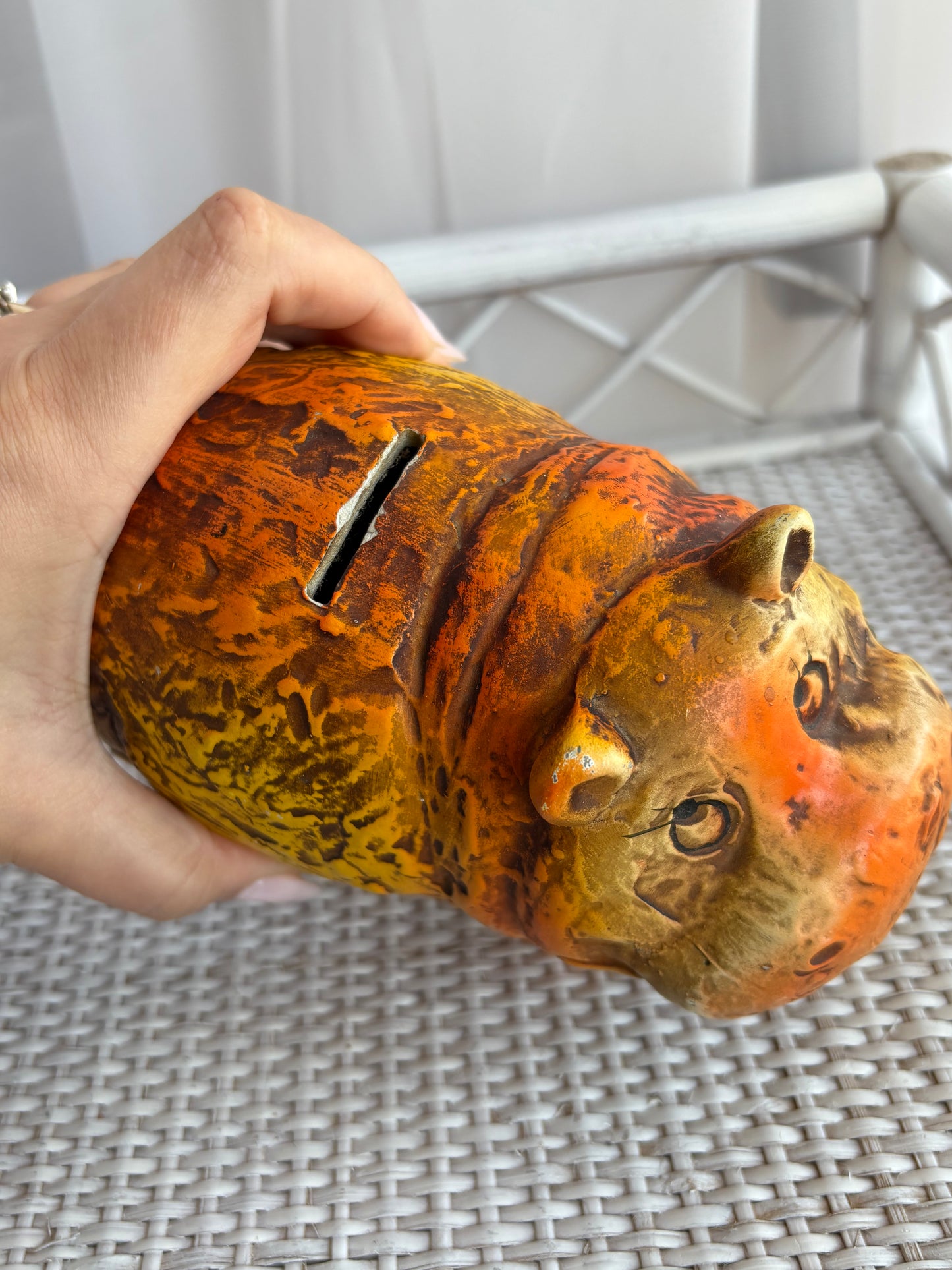 Hippo Coin Bank