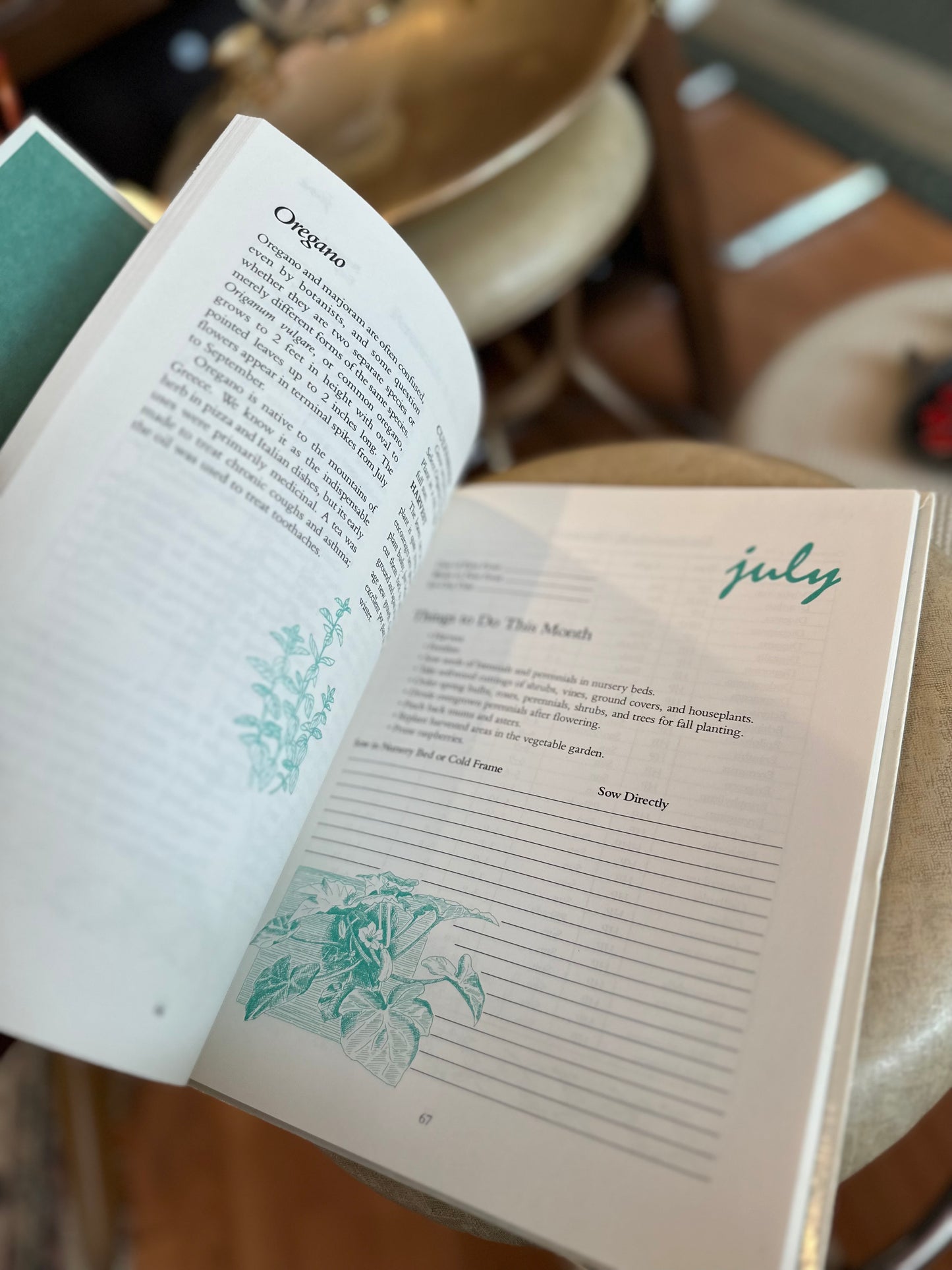 Garden Diary book (mapping out & garden planning) - never used