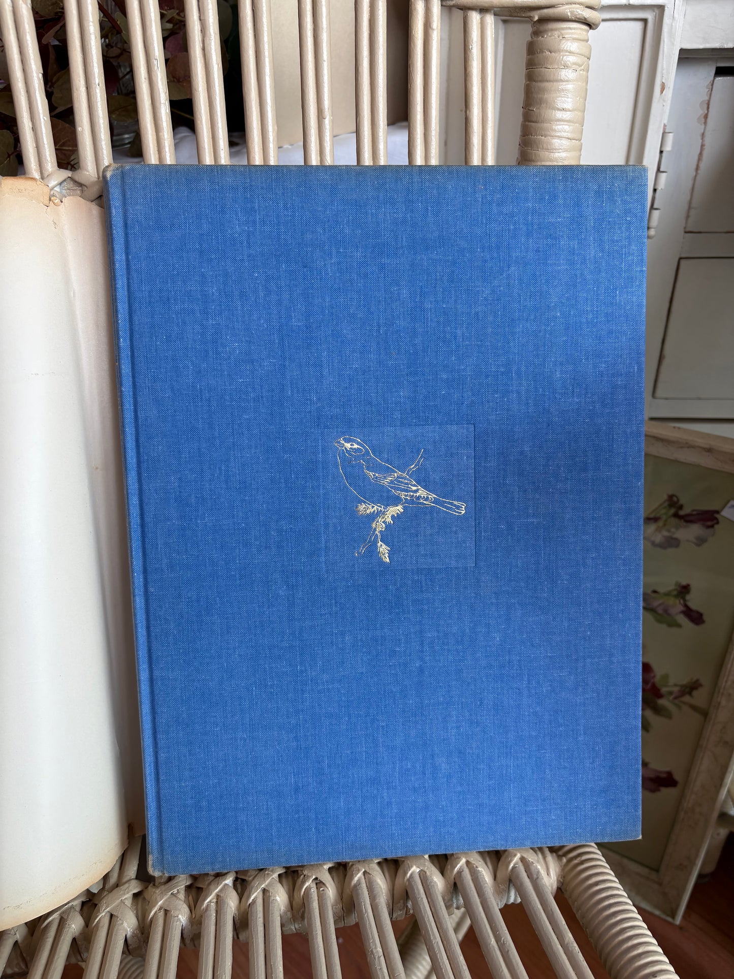 Birds of the Northern Forest Book - paintings by J.F Lansdowne