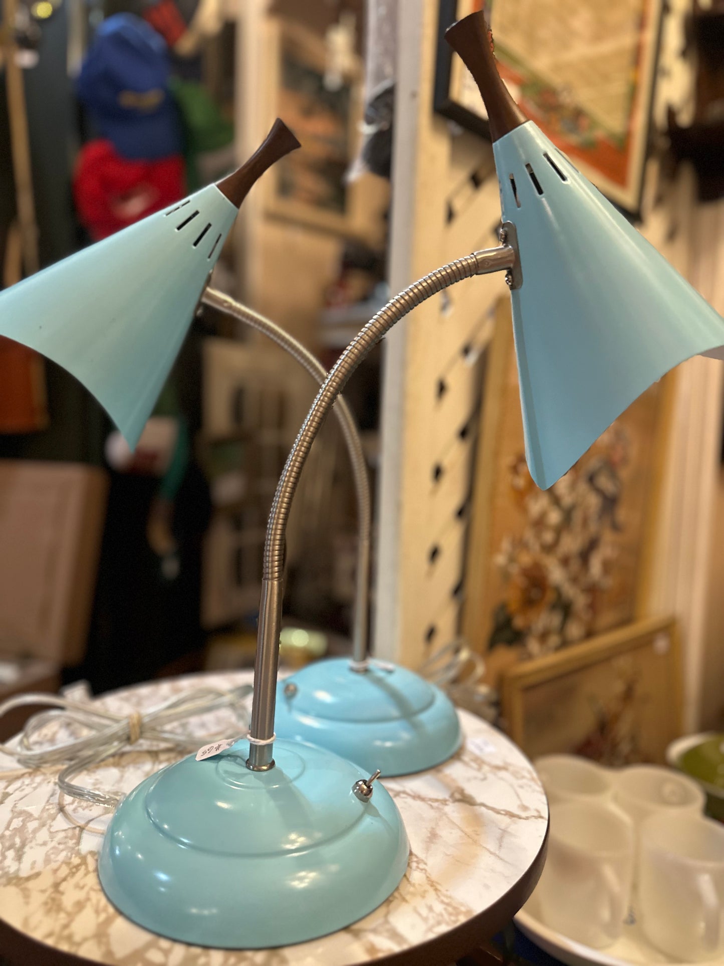 Arcadia Collection adjustable lamps (2 available)