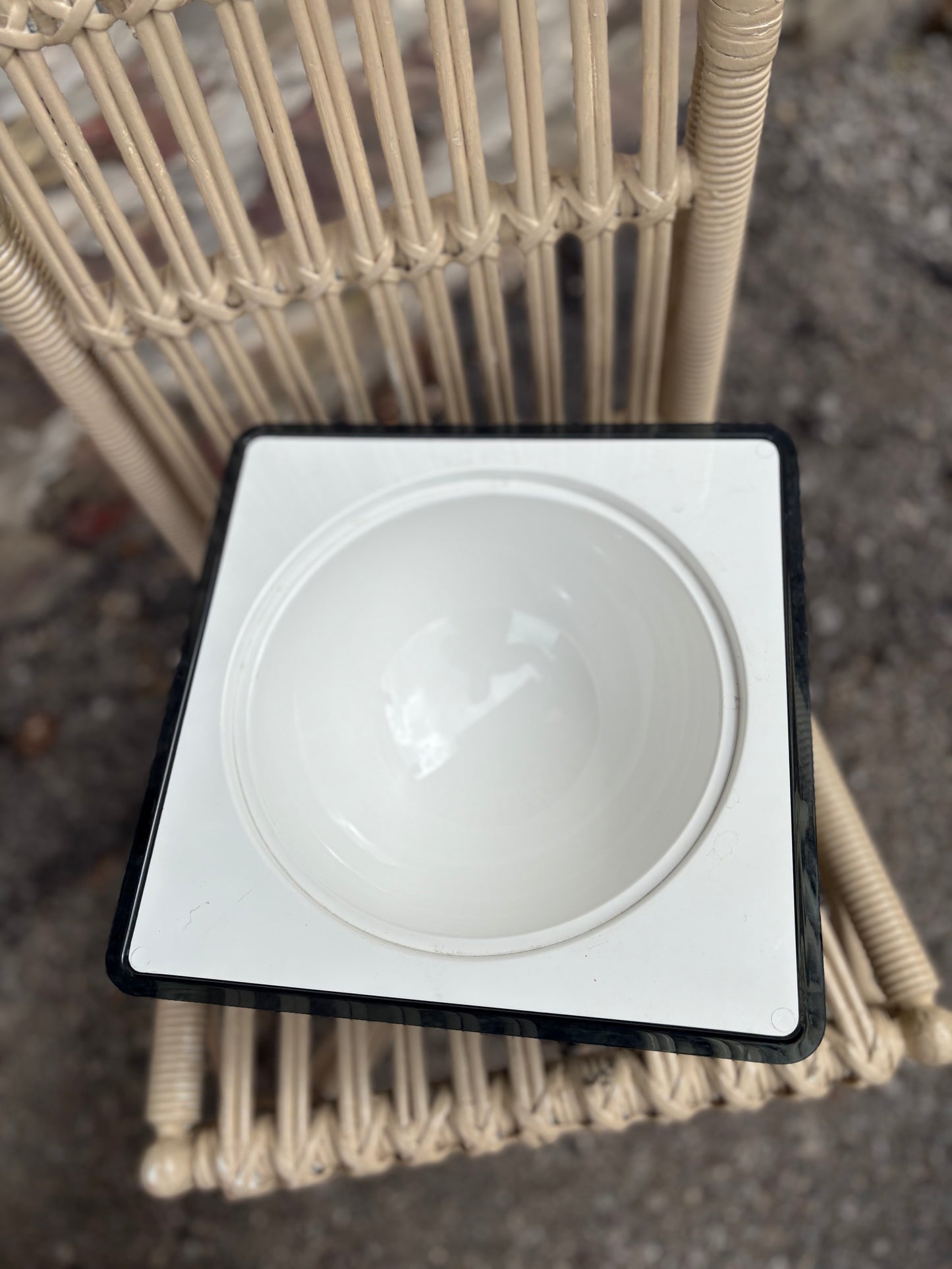 Tasty Temp Food Saver - food server
