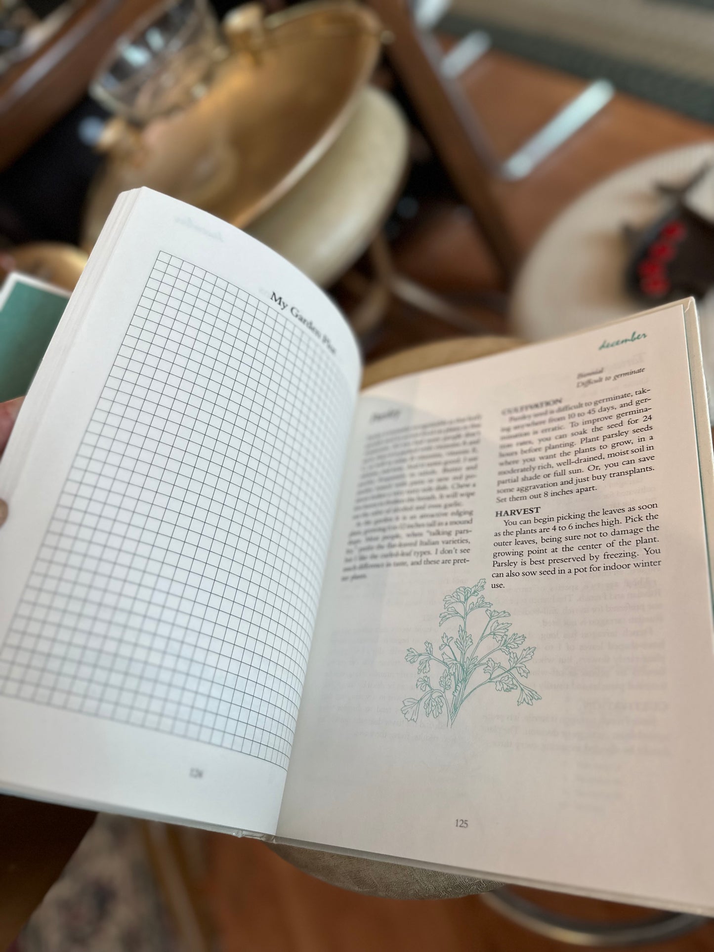Garden Diary book (mapping out & garden planning) - never used