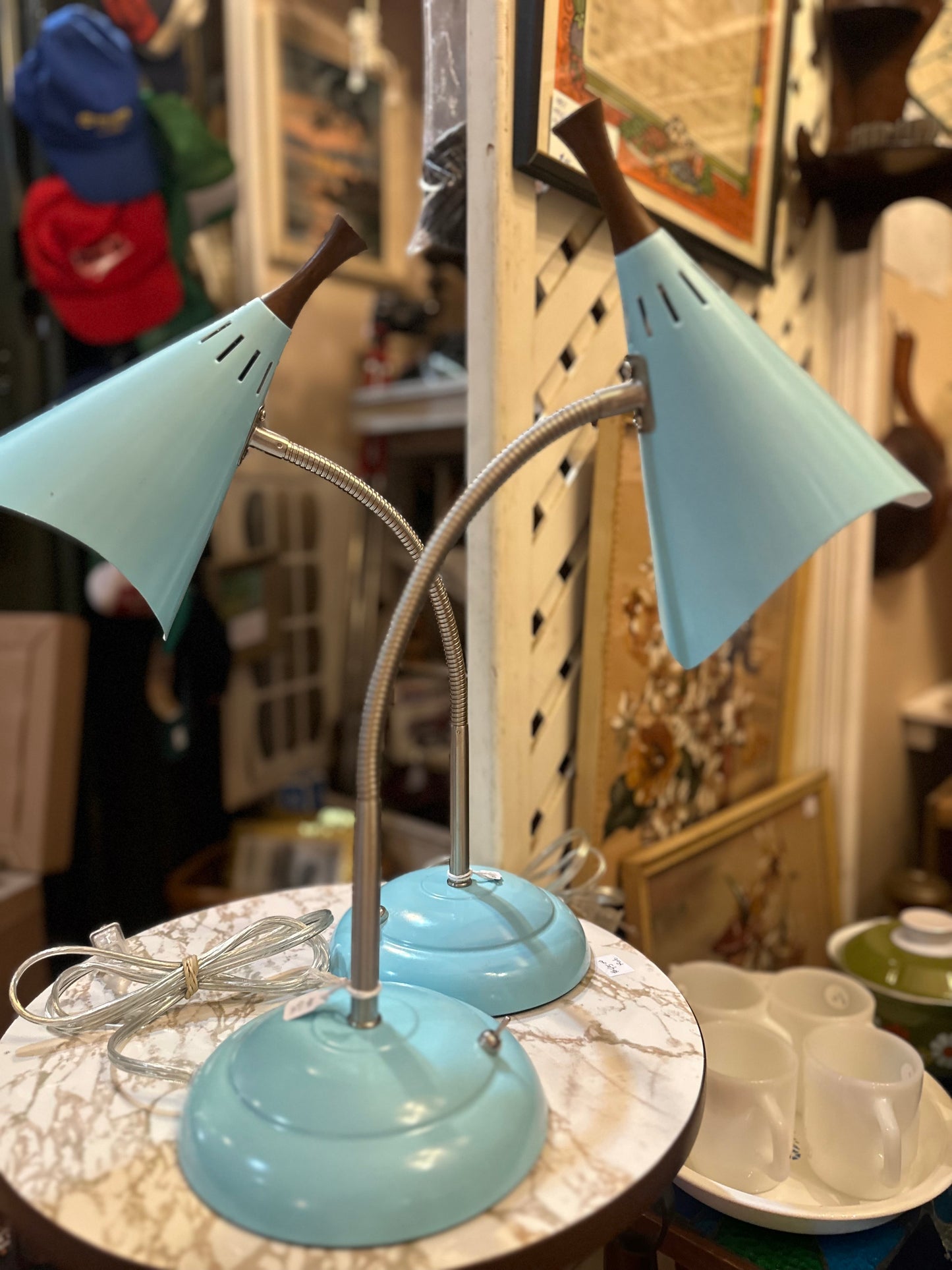 Arcadia Collection adjustable lamps (2 available)