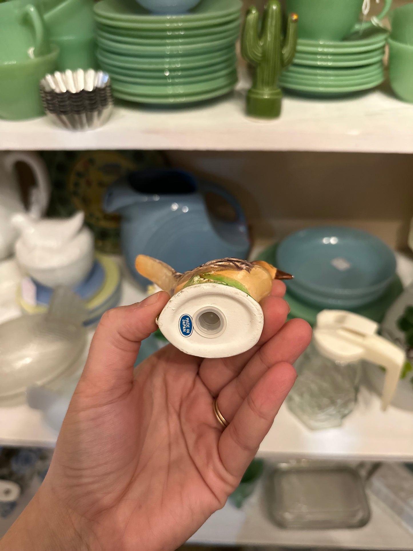 Cactus and roadrunner salt & pepper shaker set