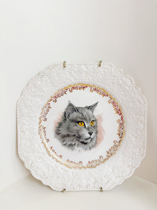 Cat Plate 8-71 Lord Nelson Pottery England
