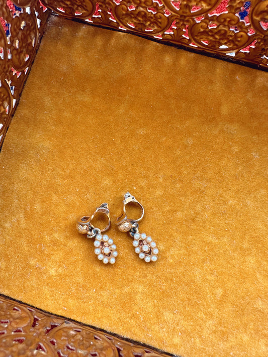 Dainty oval clip on earrings
