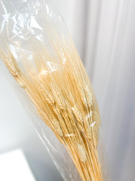 Neutral Dried Wheat Decor