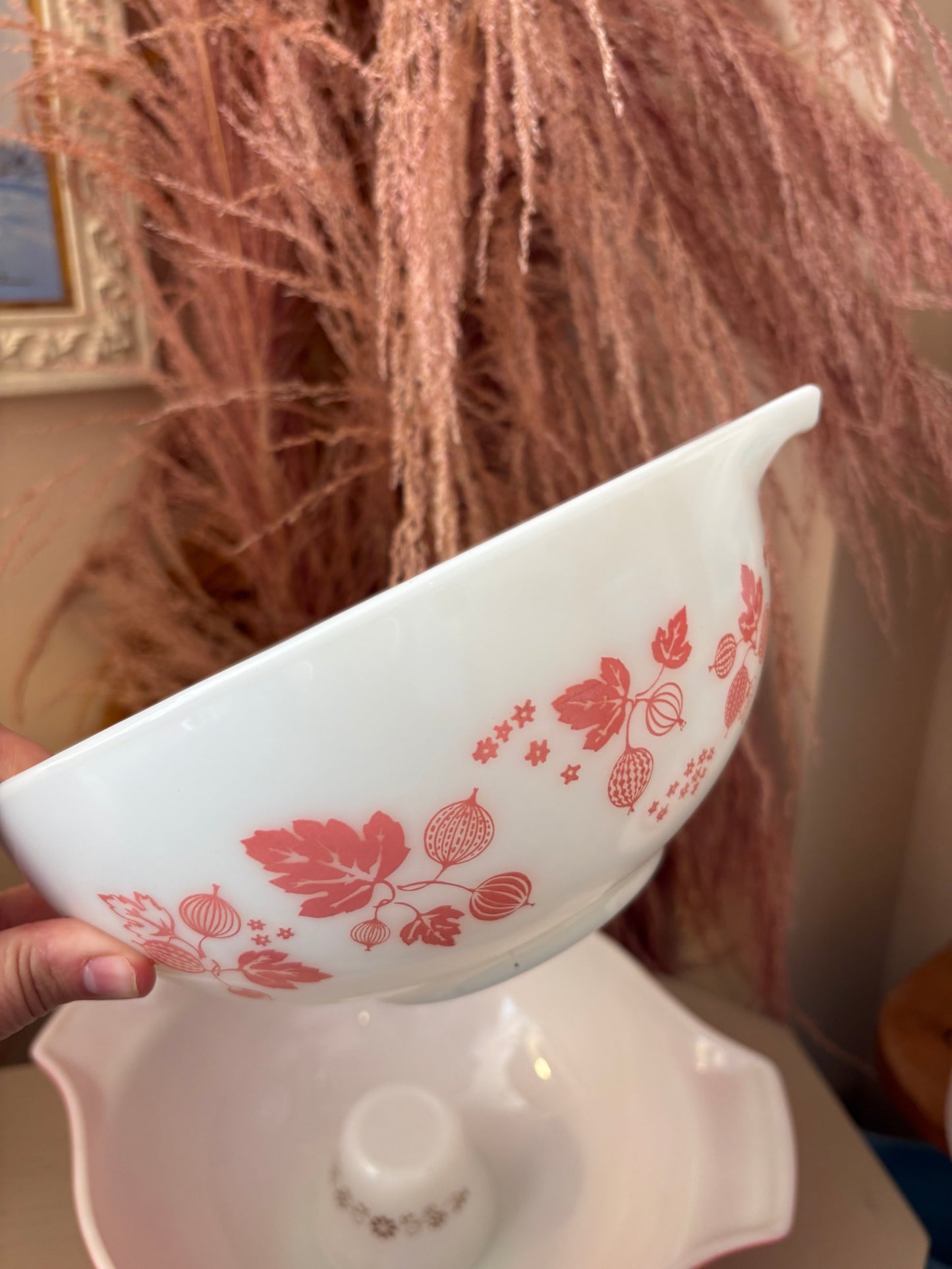Gooseberry Cinderella Mixing Bowl Set of 4 441 - 444