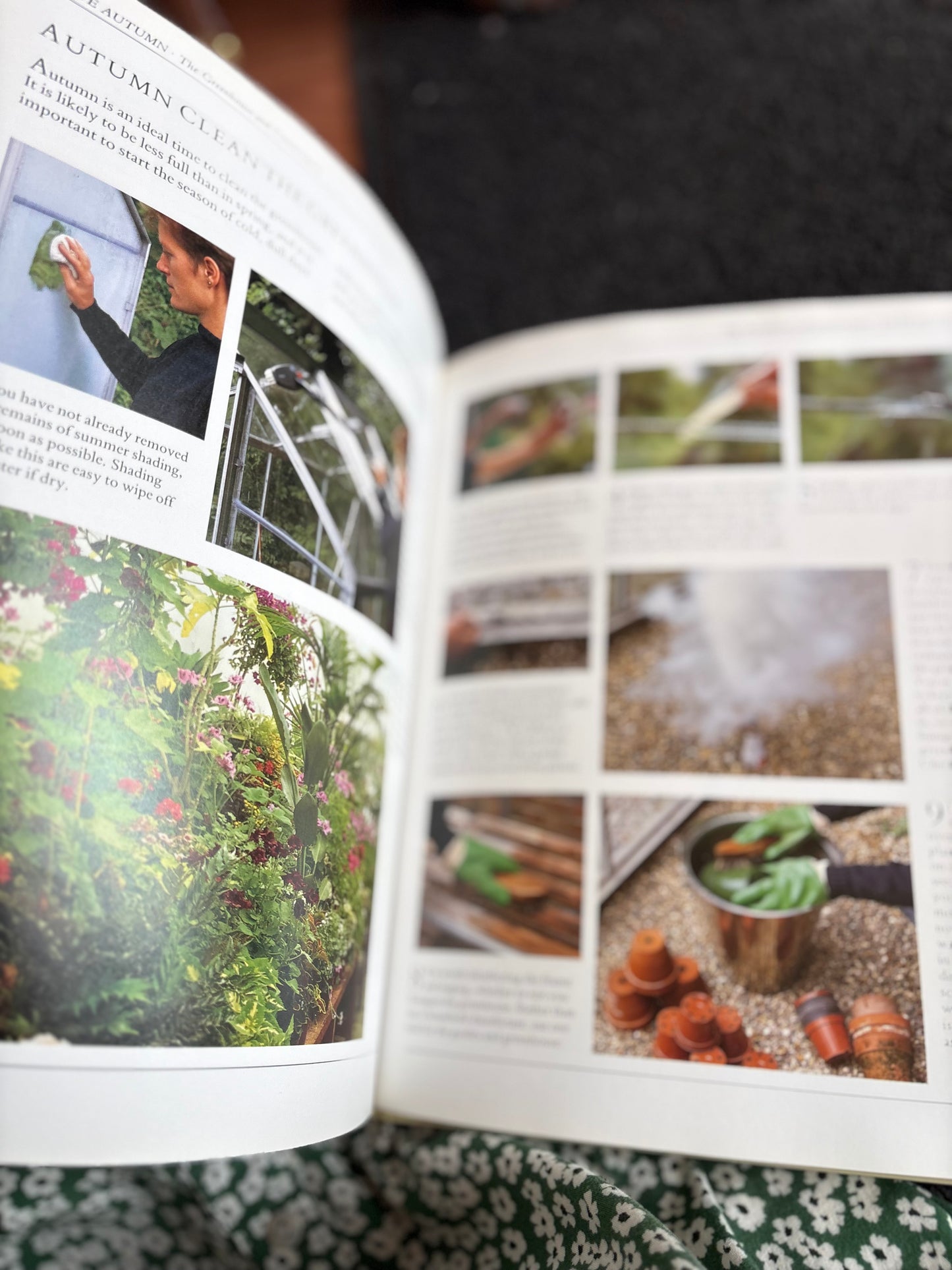 Gardening Through The Year Book