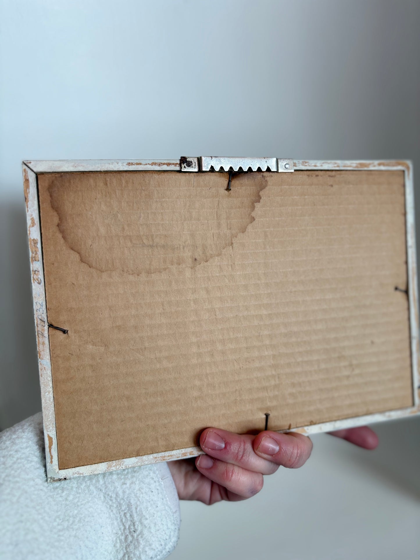 Framed Gnome Picture