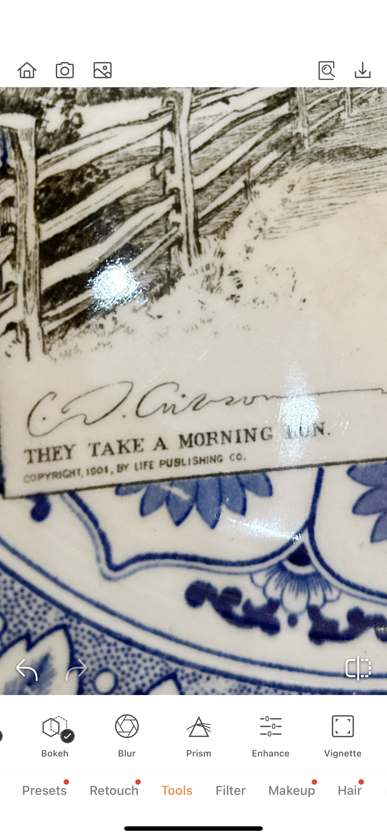 Royal Doulton CD Gibson Girls Plate - #19: They take a morning run