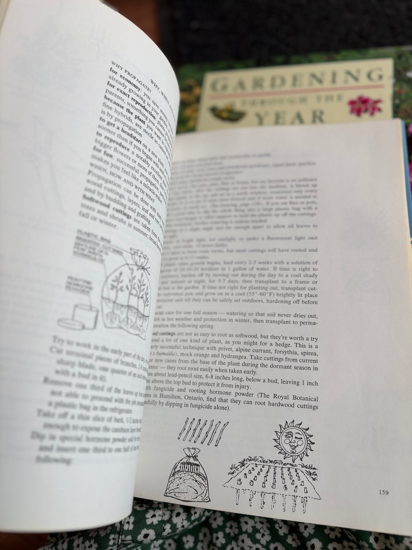 Chatelaine’s Gardening Book by Lois Wilson