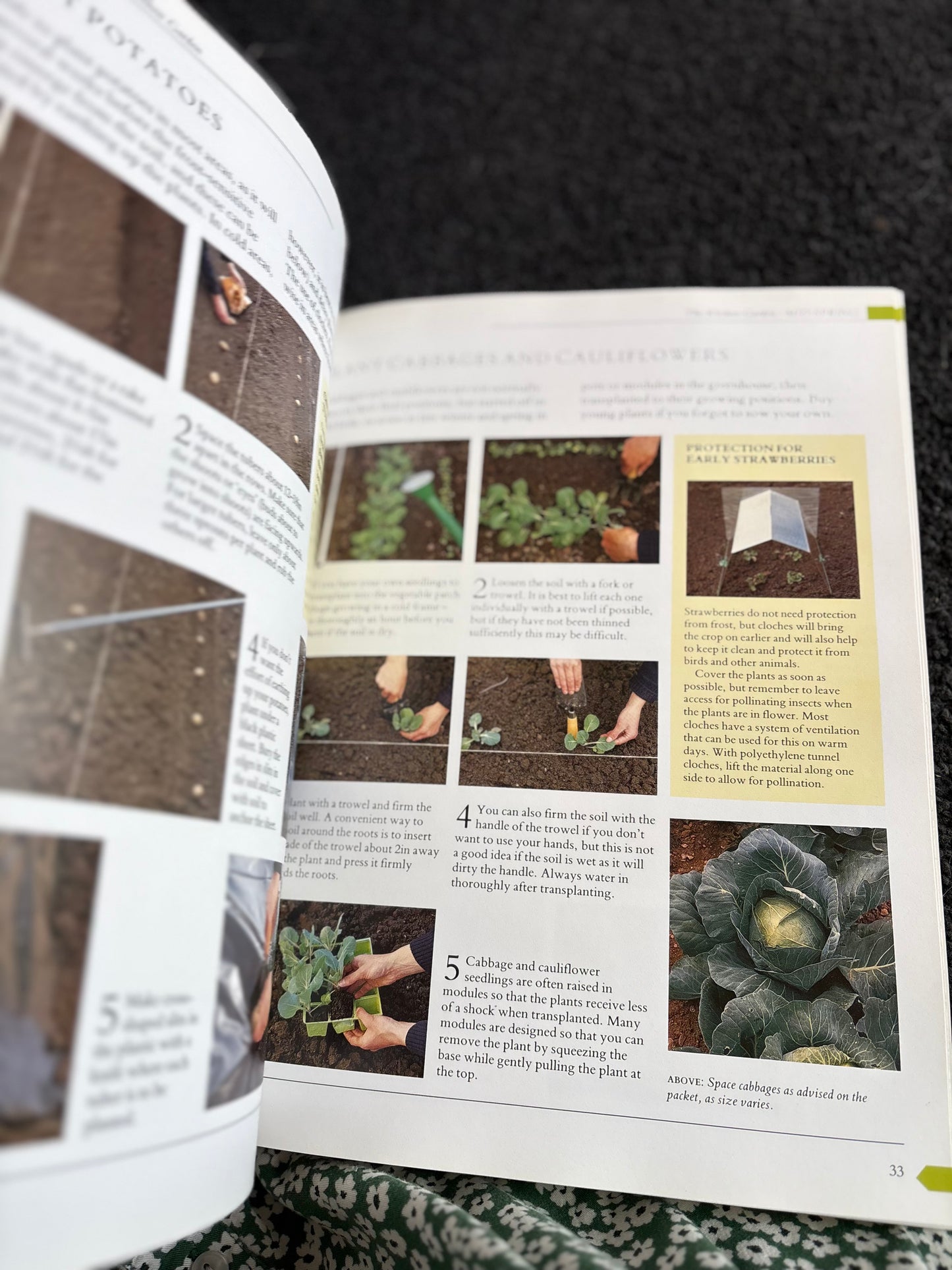 Gardening Through The Year Book