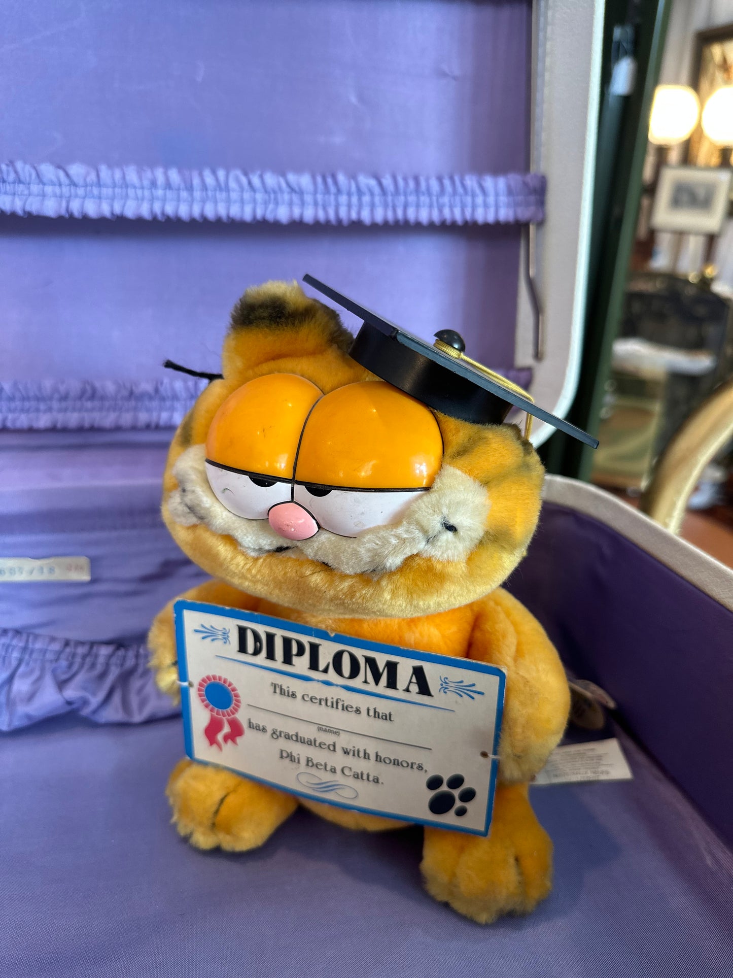 1989 Garfield Graduate Stuffed animal