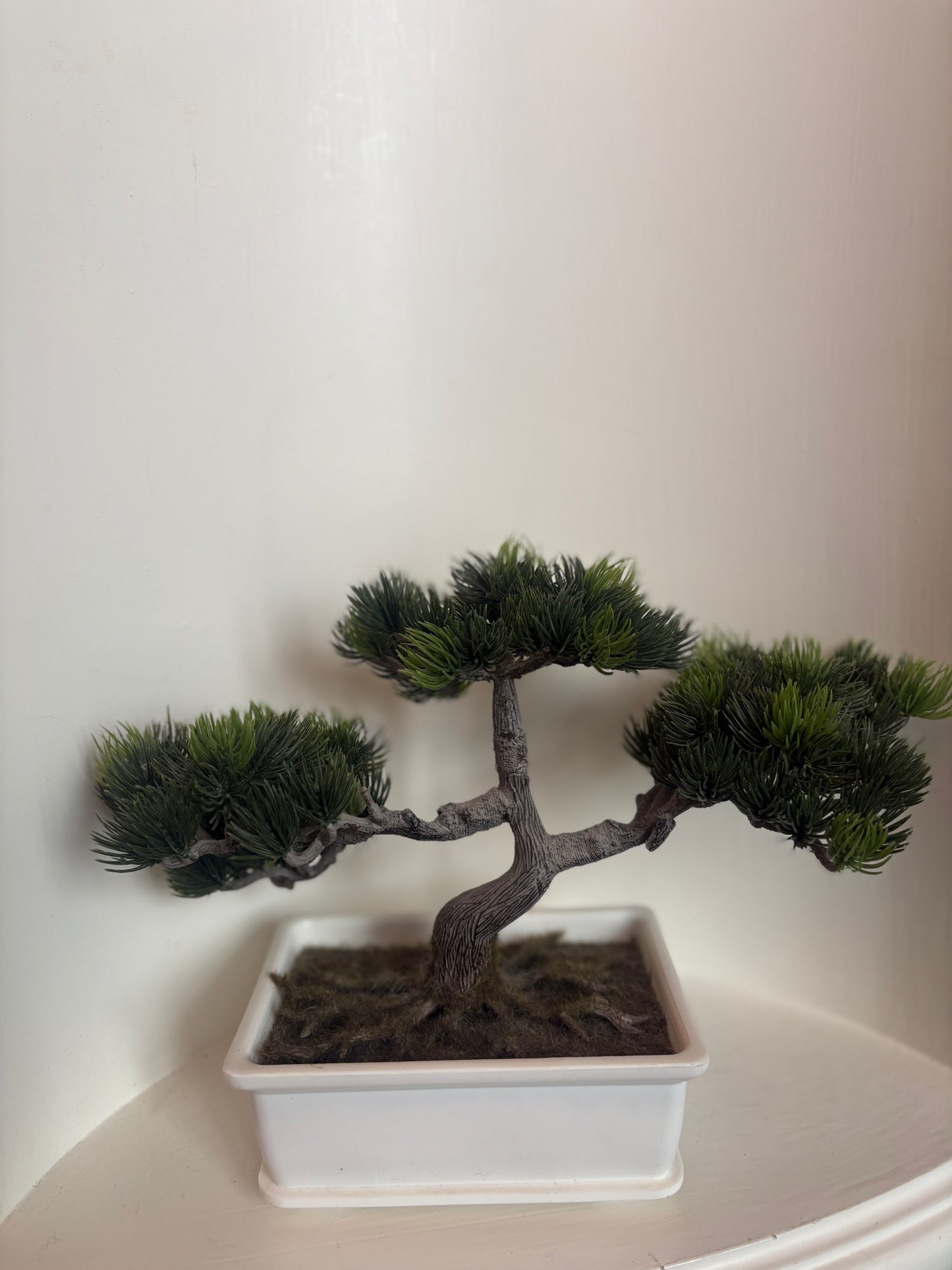 Faux Bonsai Tree in white plastic planter
