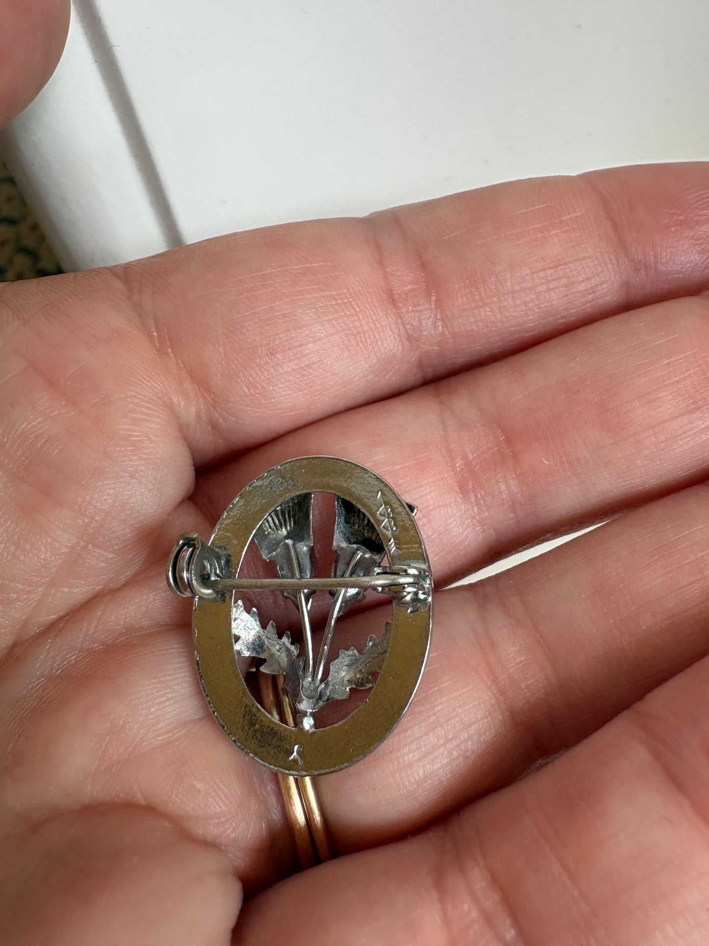 Brooch #6 - Scottish Sash pin