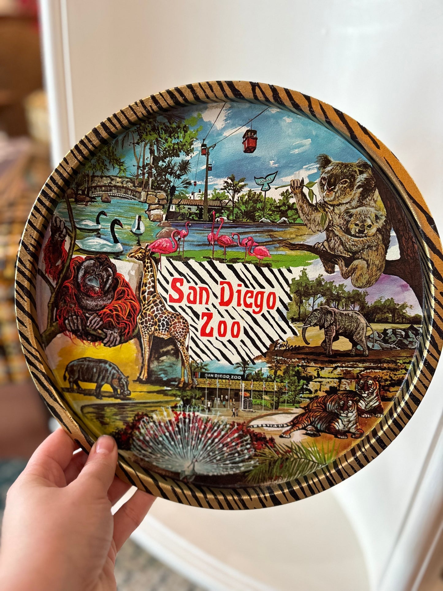 Metal San Diego Zoo Tray