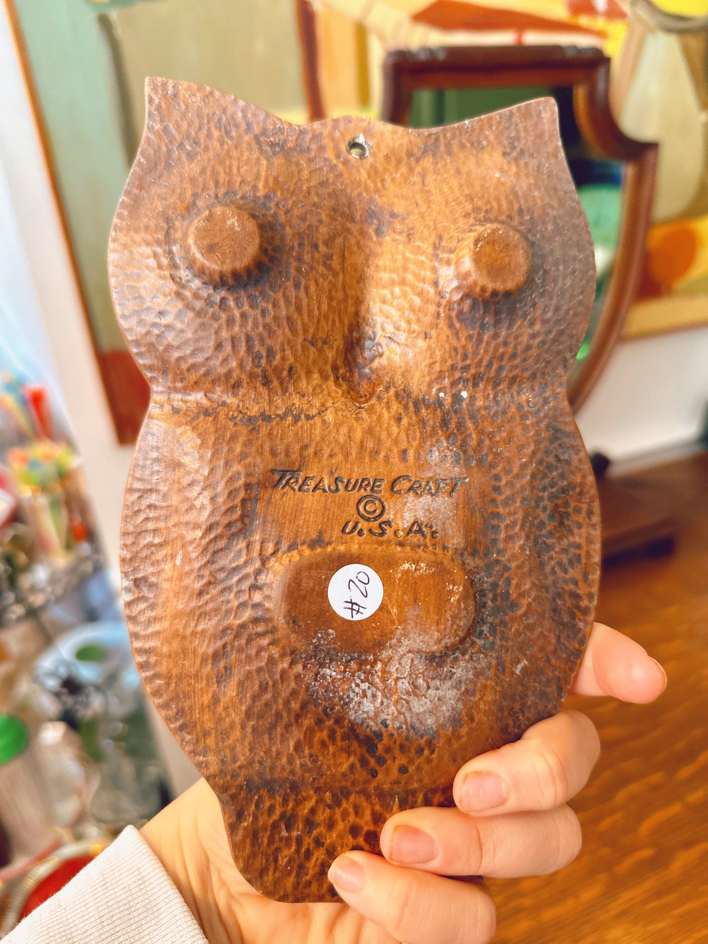 Grand Canyon ceramic hanging owl decor