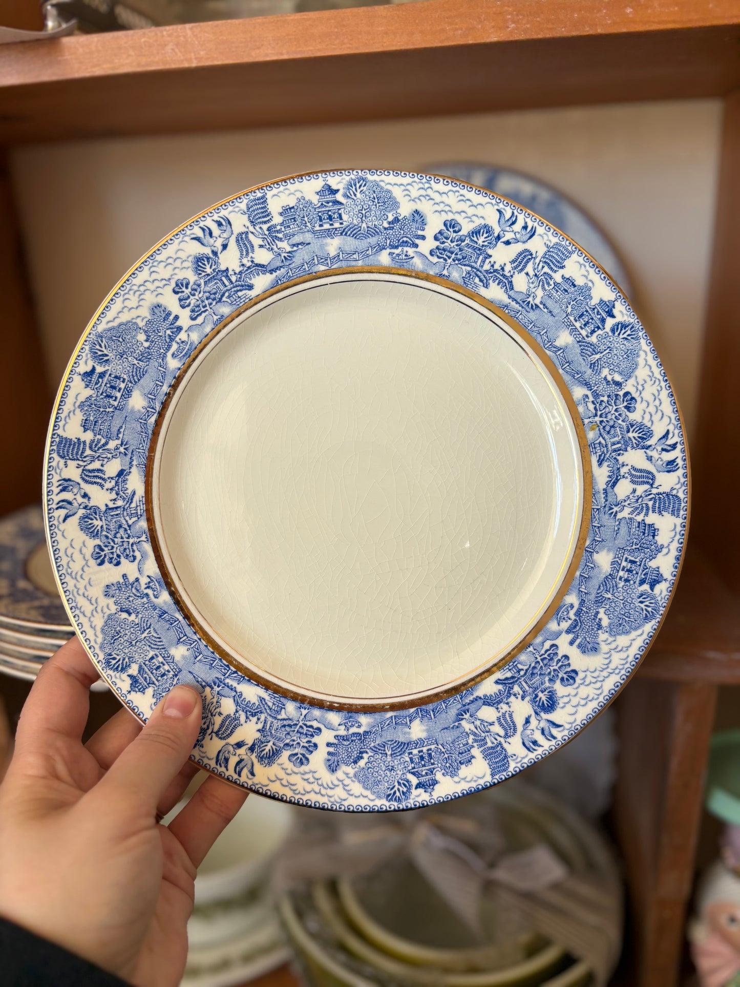Set of 7 Myott Son & Co England Plates dinner plates