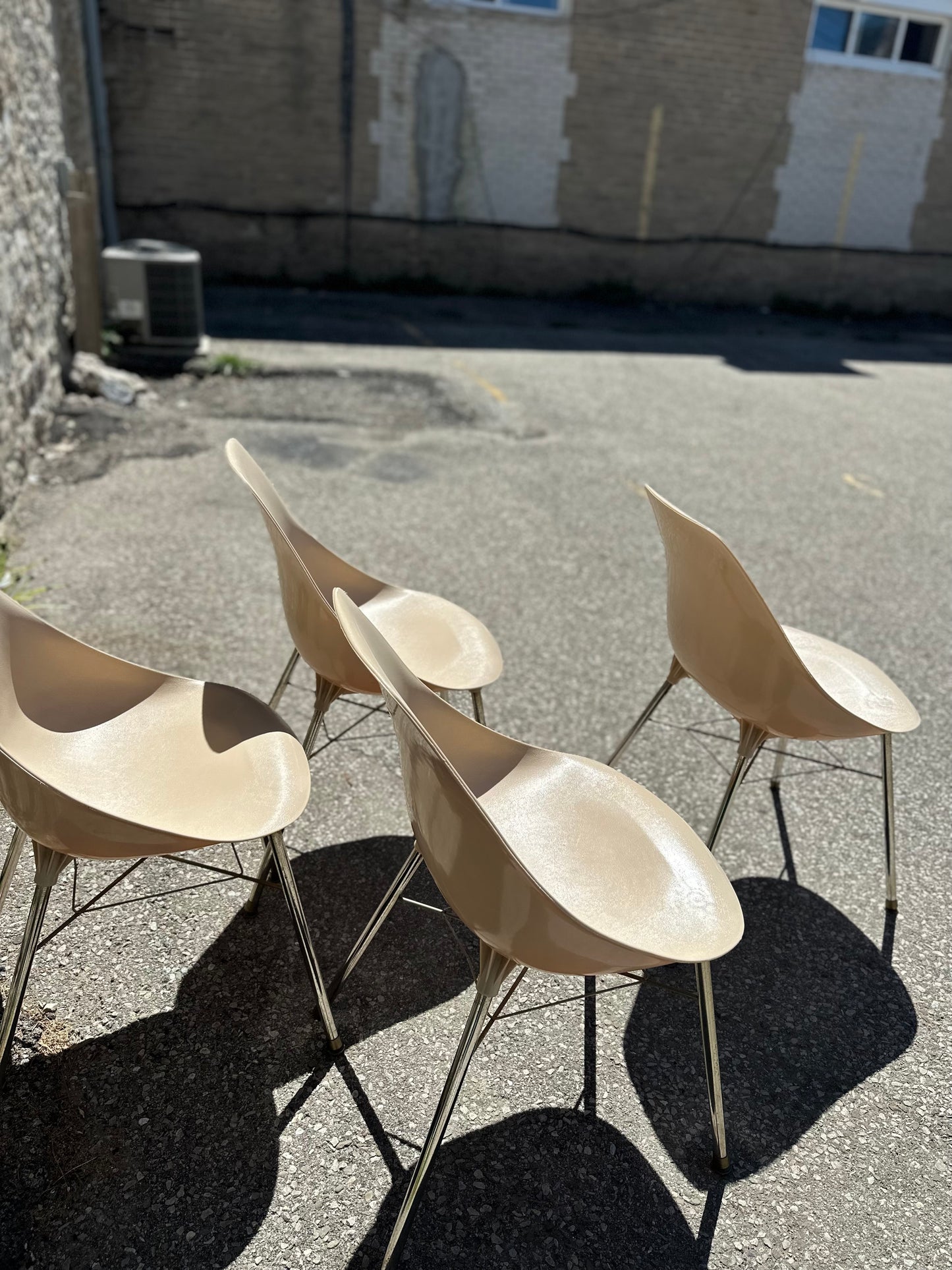 Set of 4 1970s Shell Chair designed by Sam Avedon