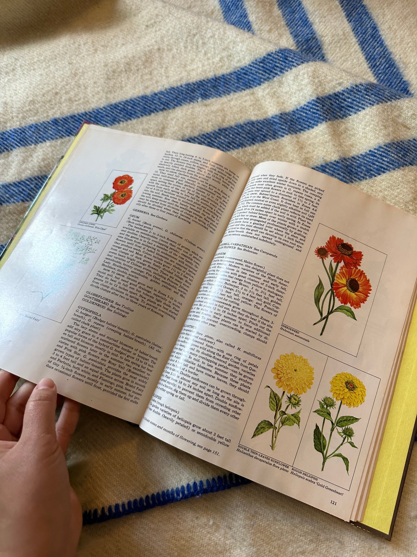 1978 The Time-Life Encyclopedia of Gardening Perennials Book