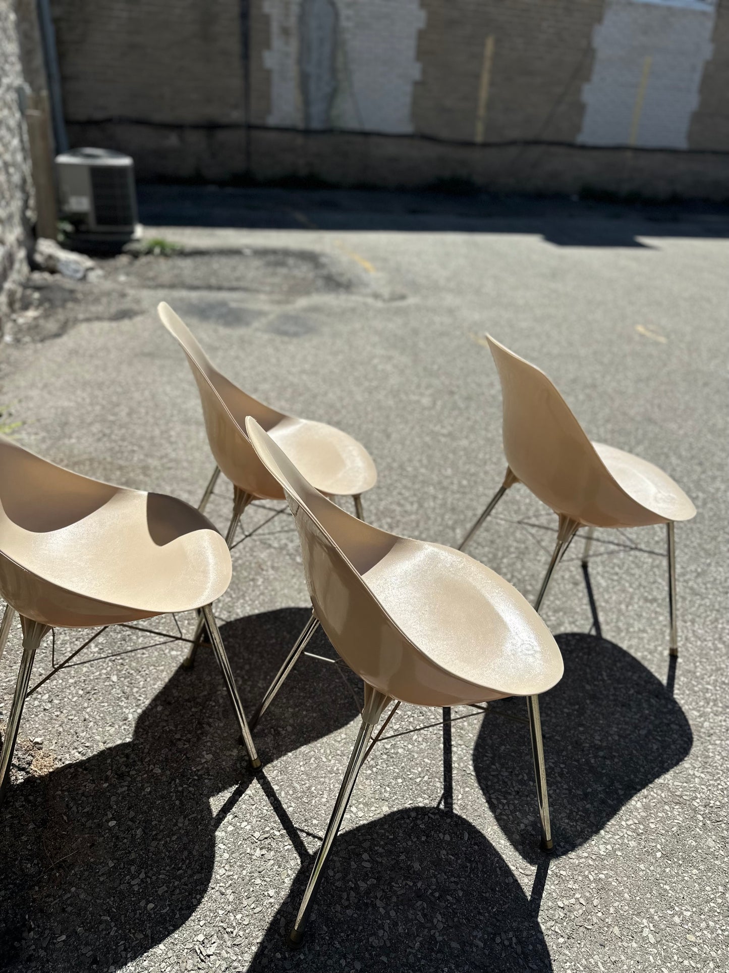 Set of 4 1970s Shell Chair designed by Sam Avedon